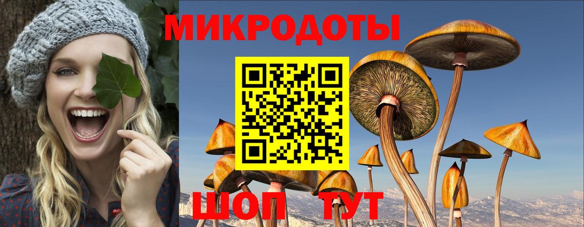 Жигулёвск  Псилоцибиновые грибы прущие грибы  Вход с VPN 